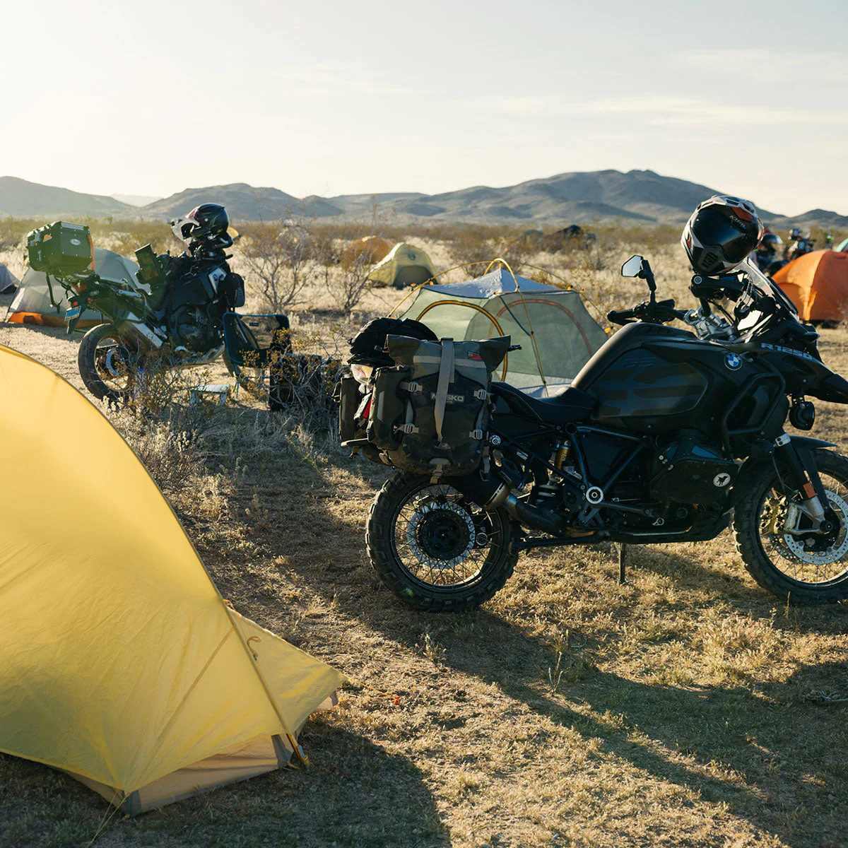 Dusty Lizard Campout Death Valley - Image 10