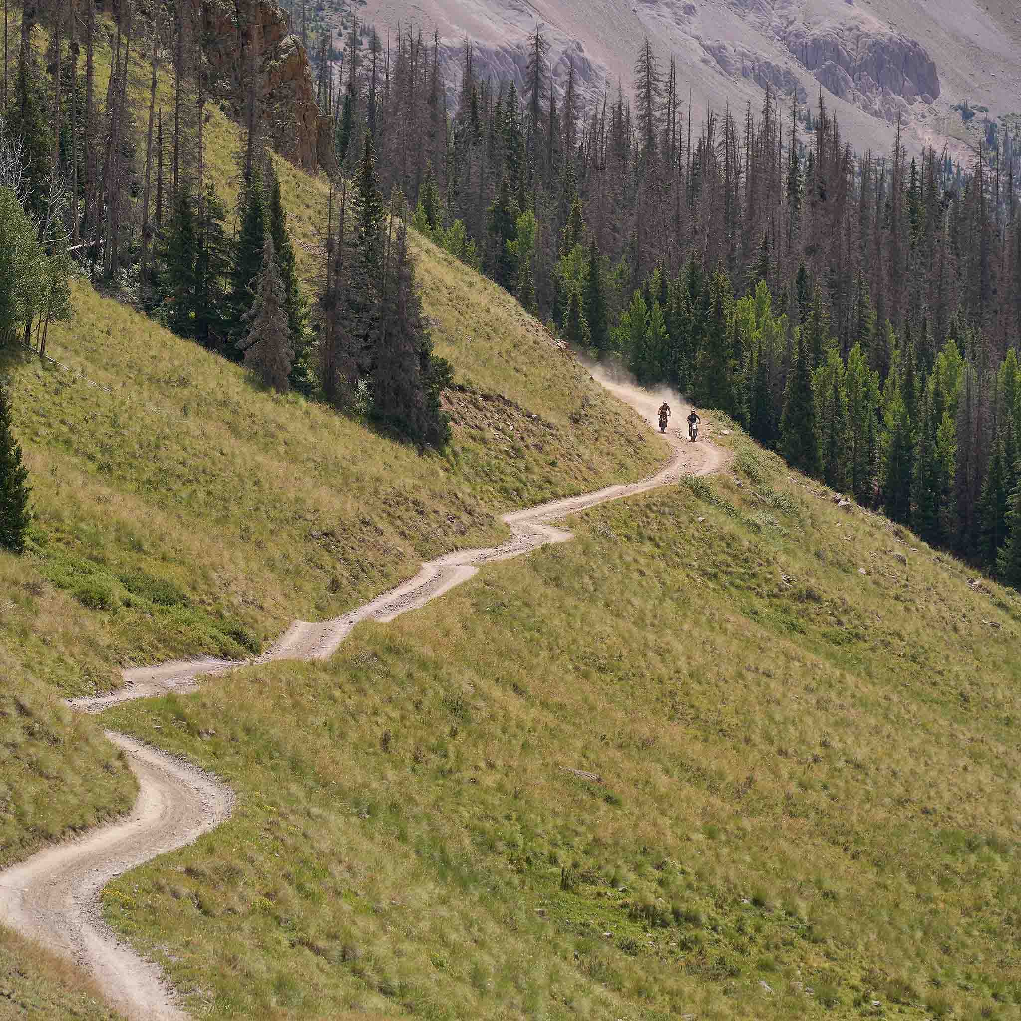 Dusty Lizard Campout Ouray - Image 7