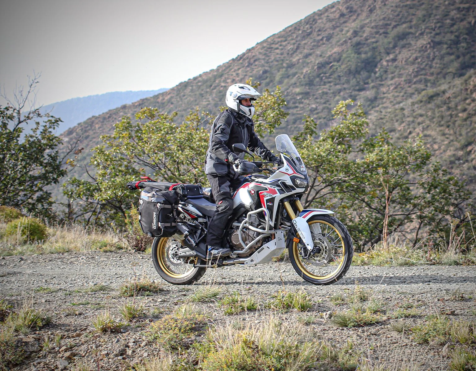 Pannier Rack - Honda - Image 10